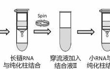  柱式基因组提取试剂盒原理「柱式rna提取试剂盒操作流程」