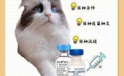 猫荷兰疫苗（猫荷兰疫苗和美国疫苗哪个好）