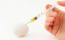 吃鸡蛋打的疫苗是什么_吃鸡蛋能打防疫针吗