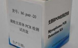  pcr产物试剂盒回收「pcr试剂盒的使用方法」
