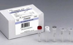 试剂盒扩增DNA