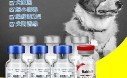狗疫苗 牌子