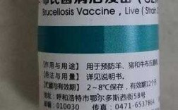 有预防布病的疫苗