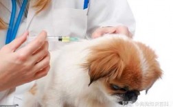 狗狗不打疫苗能驱虫吗,狗狗不打疫苗能驱虫吗视频 