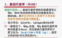 bmr是什么意思医学 医学上bmt是什么意思