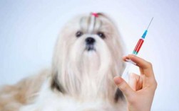 狗打完疫苗可以剪毛