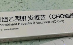 乙肝疫苗成年还要打吗 乙肝疫苗hbv