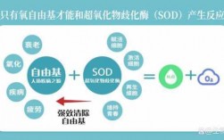sod是什么简写 工程中SOD是什么意思