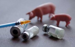 猪进口疫苗价格_猪疫苗的价格