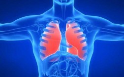 肺部吻合钉-肺部吻合器是什么原因
