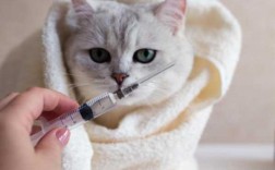 小猫打完疫苗低烧,小猫打完疫苗低烧正常吗 
