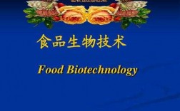 食品与生物工程属于什么学-食品与生物工程是干什么的