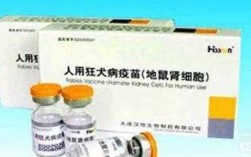 地鼠肾细胞狂犬疫苗北京,地鼠肾细胞狂犬疫苗是灭活还是减毒 