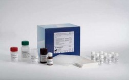 蛋白质检测试剂,蛋白质检测试剂盒原理 