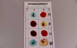 血rt六分类检查