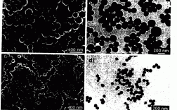 仿黑色素纳米材料是什么东西 仿黑色素纳米材料是什么