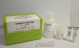 动物基因组dna提取试剂盒试用装（动物基因组dna的提取实验）