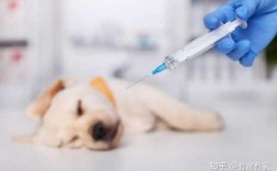  狂犬疫苗副作用呕吐「狂犬疫苗恶心想吐」