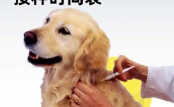  小狗如何注射疫苗「怎样给小狗注射疫苗」
