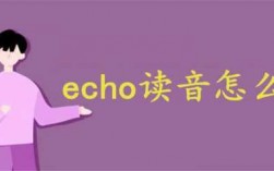 echo在医学上是啥意思是什么