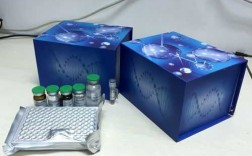 血液丙酮酸的测定-血清丙酮酸试剂盒