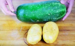 土豆和冬瓜哪个减肥效果好