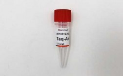 关于生工taq酶要加什么试剂的信息
