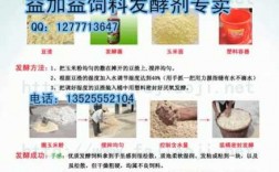 优质饲料发酵剂效果好_饲料发酵剂产品介绍及使用方法