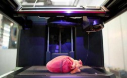  人体器官打印什么时候实现「器官打印何时可以移植」