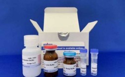 同仁细胞凋亡检测试剂盒（细胞凋亡试剂盒价格）