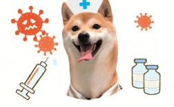  狗打了疫苗会得狗瘟吗「狗打了疫苗会得狗瘟吗怎么治疗」