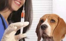 狗去哪里打疫苗价格（狗去哪里打疫苗价格高）