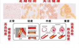 血细胞分析是什么颜色的管