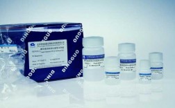 酵母菌dna提取实验步骤 试剂盒法提取酵母菌dna