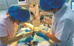 新生儿辐射抢救治疗是什么,新生儿辐射抢救治疗是什么意思 照蓝光 