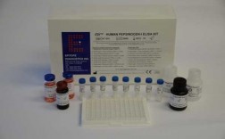 胃蛋白酶试剂盒