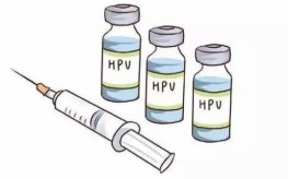 hsv2疫苗最新消息2017