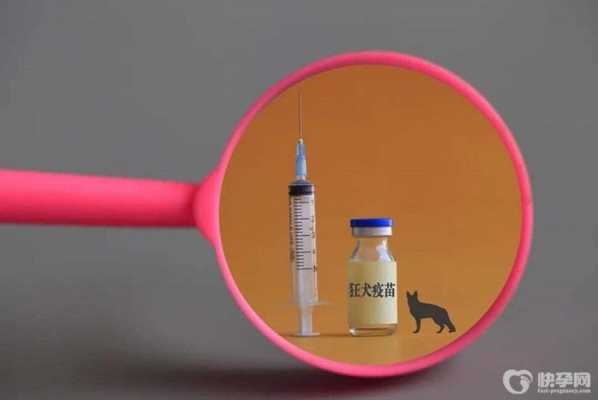 打狂犬疫苗可以喝牛奶还有蜂蜜吗-图3