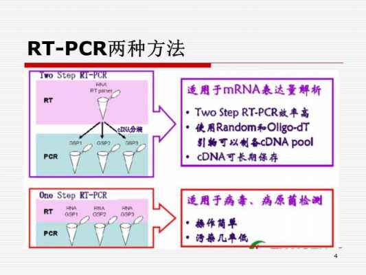  一步法rtpcr试剂「rtpcr一步法和两步法的区别」-图1