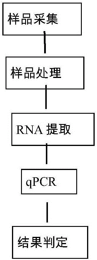 pcr试剂盒生产工艺,PCR试剂盒生产工艺规程 -图2