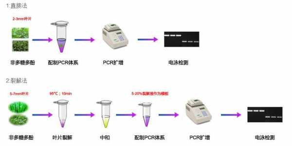 pcr试剂盒生产工艺,PCR试剂盒生产工艺规程 -图3