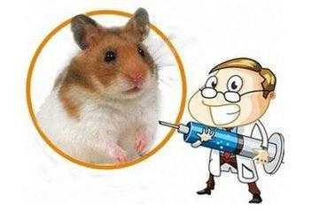 老鼠咬着了打什么疫苗 老鼠咬着要打哪种疫苗-图1