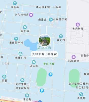 武汉生物工程学院哪个区-武汉生物工程学院属什么区-图1