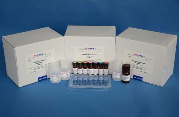 国产免疫组化设备厂家-免疫组化的国产试剂盒-图2