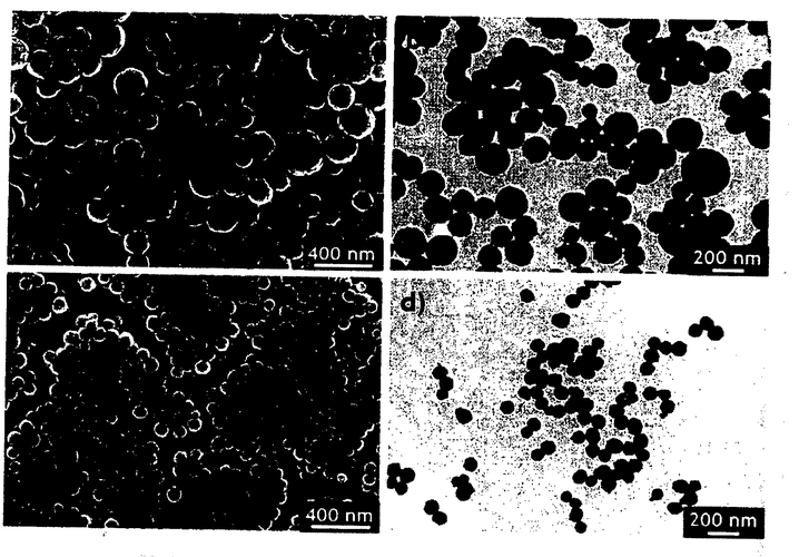 仿黑色素纳米材料是什么东西 仿黑色素纳米材料是什么-图1