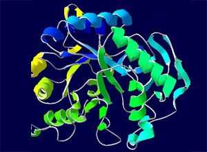  hind酶从什么生物提取「hicibi生物酶 如何从食物中获得」-图2