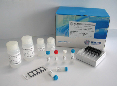 突变蛋白检测试剂盒（突变蛋白检测试剂盒使用方法）-图3