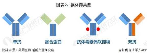 重组抗体是什么,重组抗体分为五大类 -图1