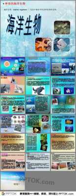  什么是海洋生物「什么是海洋生物资源」-图3