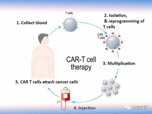  cart治疗适合什么肿瘤「cart治疗范围」-图1